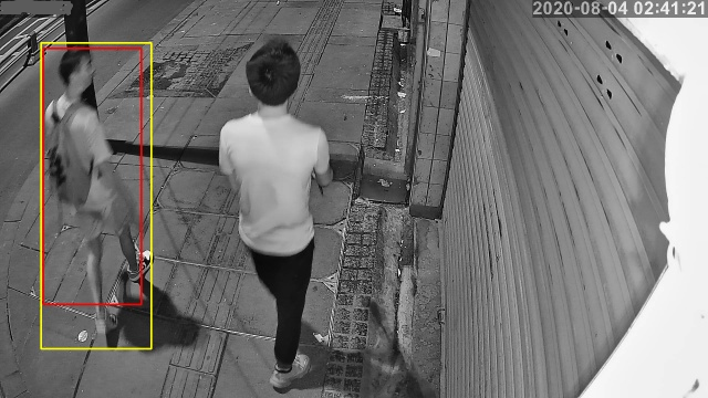 AI人形分析监控系统画面 AI人形分析监控系统画面