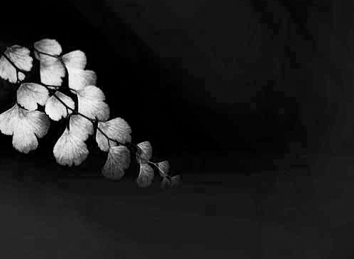 监控摄像头画面 监控摄像头画面