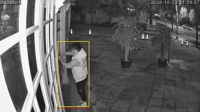 AI智能视频联网报警系统 AI智能视频联网报警系统