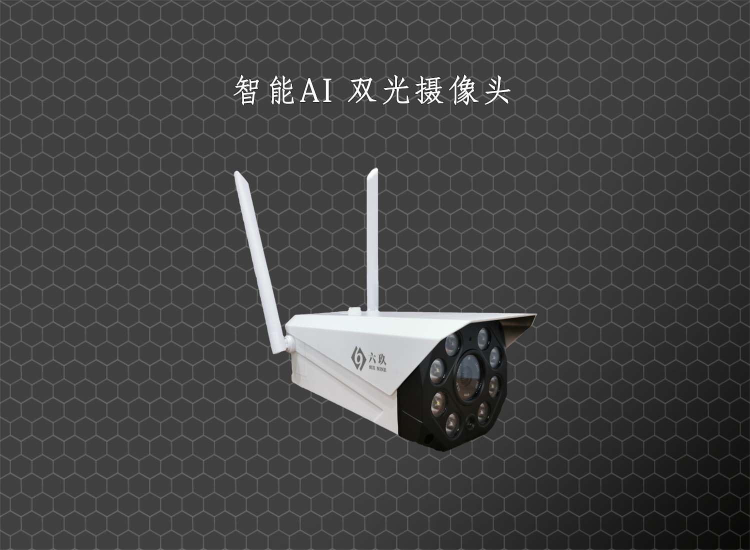 智能双光摄像头 成都监控安装公司 智能双光摄像头 成都监控安装公司