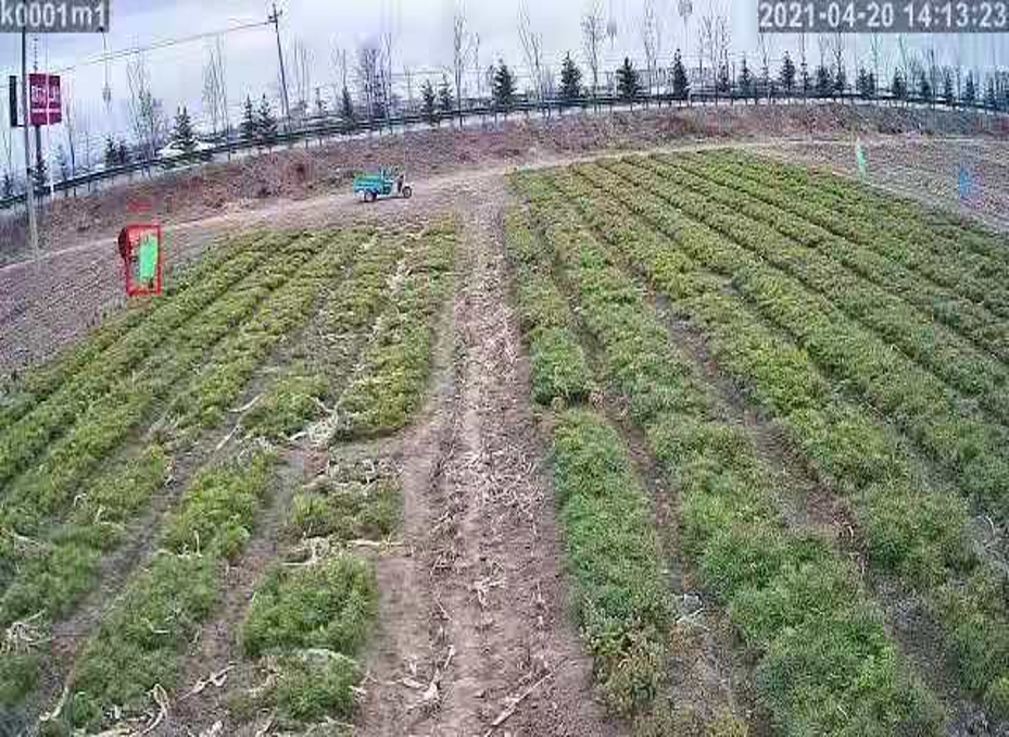 AI视频监控系统 苗圃基地监控系统 AI视频监控系统 苗圃基地监控系统