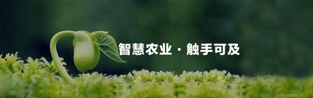 智慧农业 智慧农业