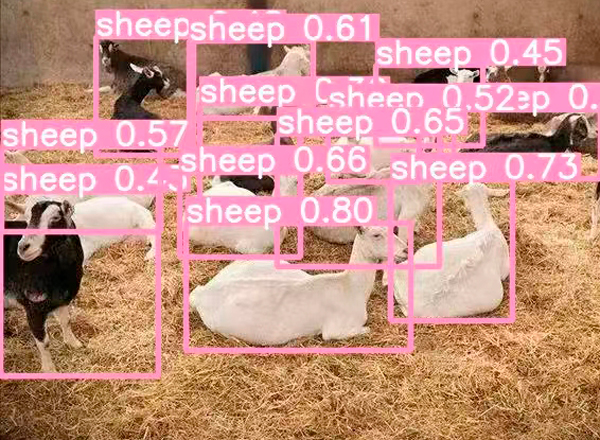 AI智能监控 AI智能监控