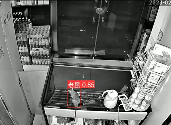 智能老鼠识别算法 智能老鼠识别算法